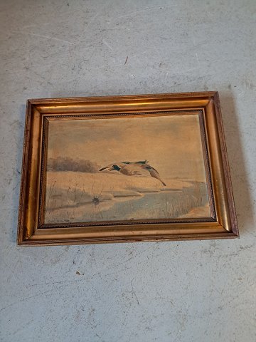 vare nr: 76820